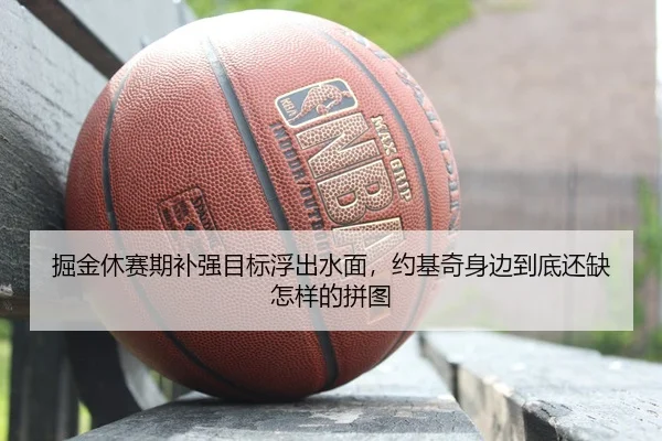 掘金休赛期补强目标浮出水面，约基奇身边到底还缺怎样的拼图